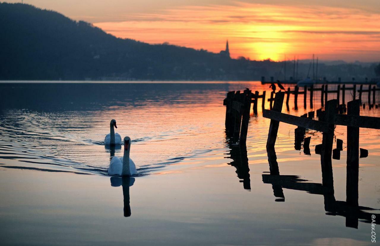 Hibiscus Apartment Annecy Dış mekan fotoğraf